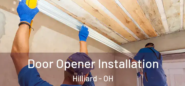 Door Opener Installation Hilliard - OH