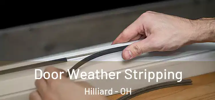 Door Weather Stripping Hilliard - OH