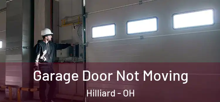  Garage Door Not Moving Hilliard - OH