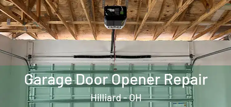  Garage Door Opener Repair Hilliard - OH