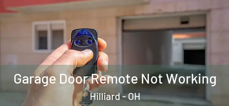  Garage Door Remote Not Working Hilliard - OH