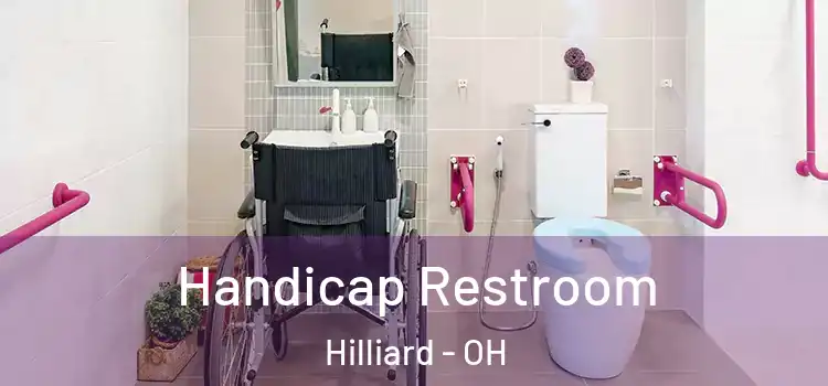Handicap Restroom Hilliard - OH