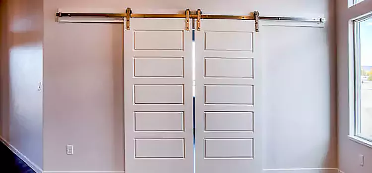 Glass Barn Door with Installation Hardware Kit Hilliard