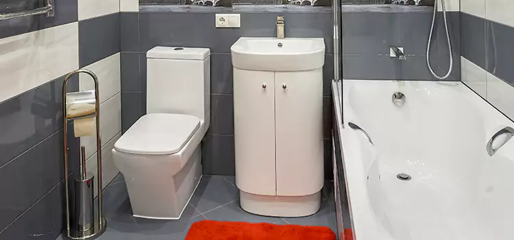 Hansgrohe Shaving Mirror Hilliard