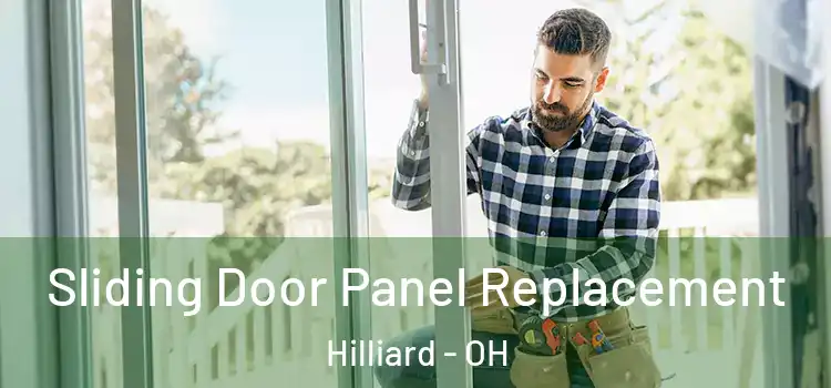  Sliding Door Panel Replacement Hilliard - OH